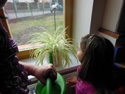 Zaléváme květiny ve školce